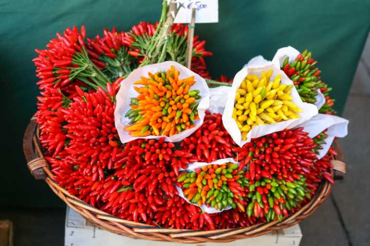 Pepper Varieties