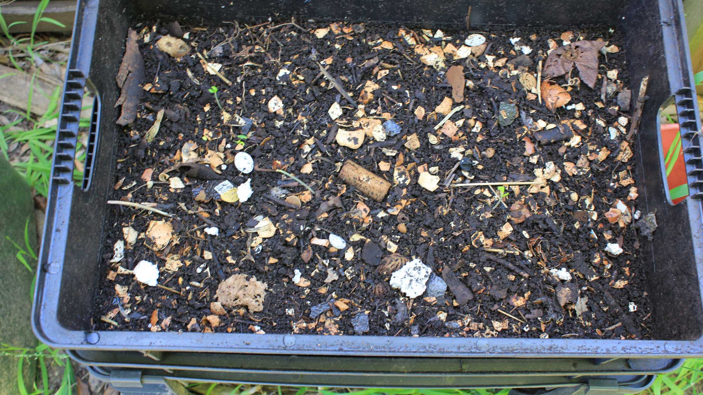 How to Start a Worm Farm for Composting: A Comprehensive Guide