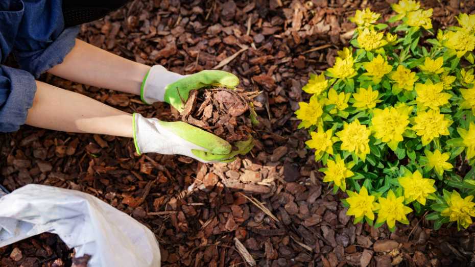 Benefits of Mulching